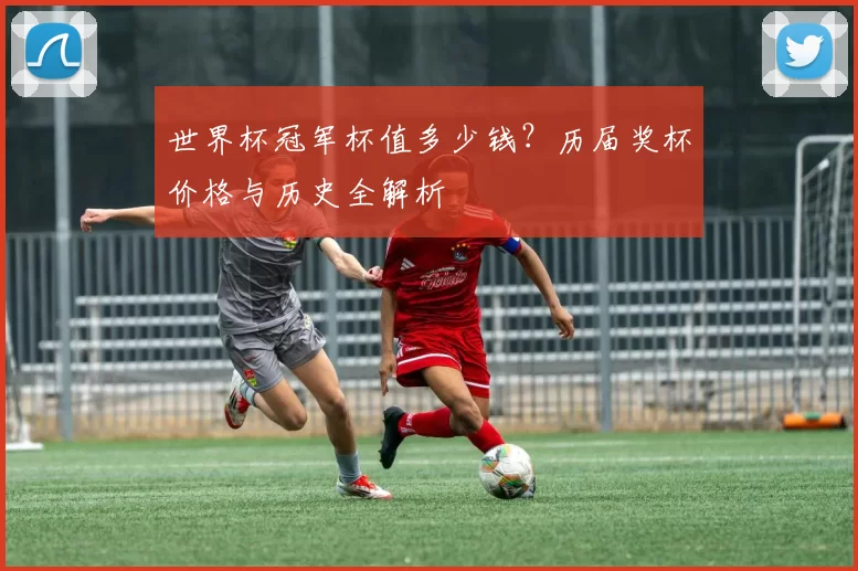 世界杯冠军杯值多少钱？历届奖杯价格与历史全解析