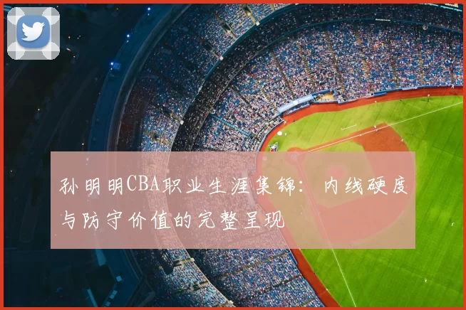 孙明明CBA职业生涯集锦：内线硬度与防守价值的完整呈现