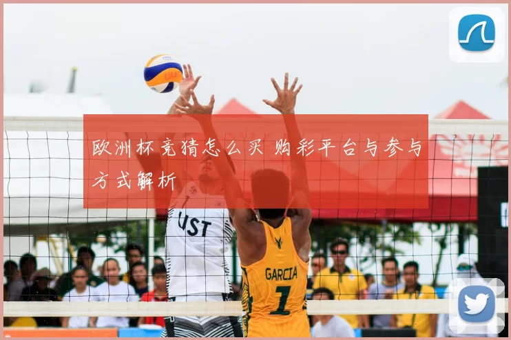 欧洲杯竞猜怎么买 购彩平台与参与方式解析