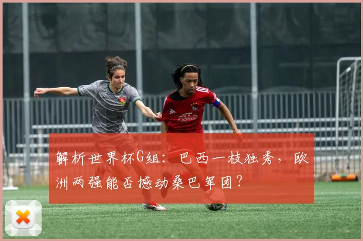 解析世界杯G组：巴西一枝独秀，欧洲两强能否撼动桑巴军团？