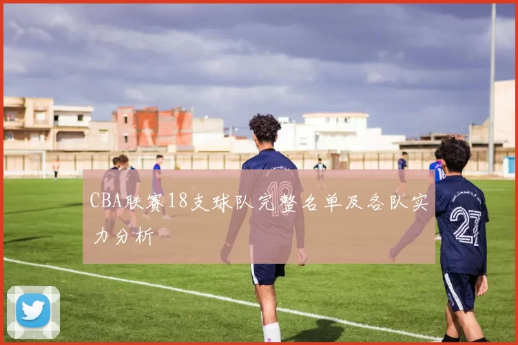 CBA联赛18支球队完整名单及各队实力分析