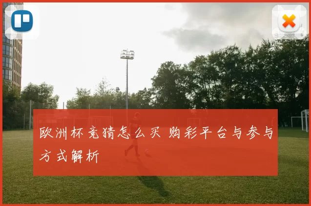 欧洲杯竞猜怎么买 购彩平台与参与方式解析