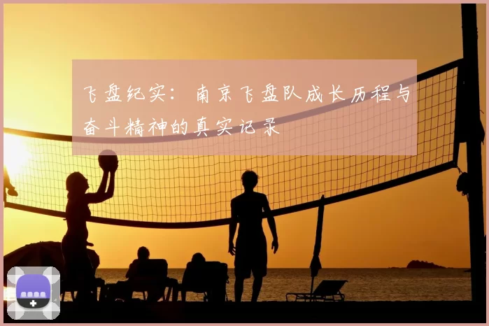 飞盘纪实：南京飞盘队成长历程与奋斗精神的真实记录