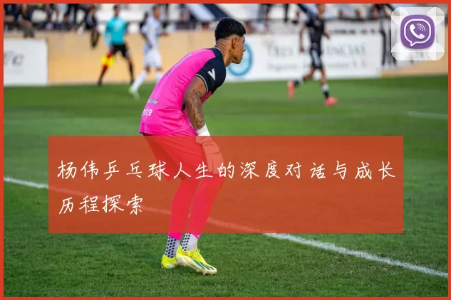 杨伟乒乓球人生的深度对话与成长历程探索