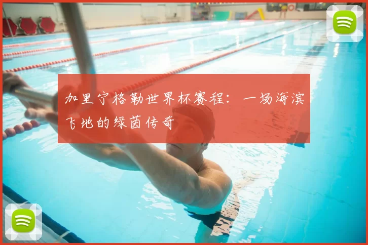 加里宁格勒世界杯赛程:一场海滨飞地的绿茵传奇