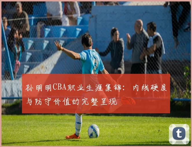 孙明明CBA职业生涯集锦:内线硬度与防守价值的完整呈现