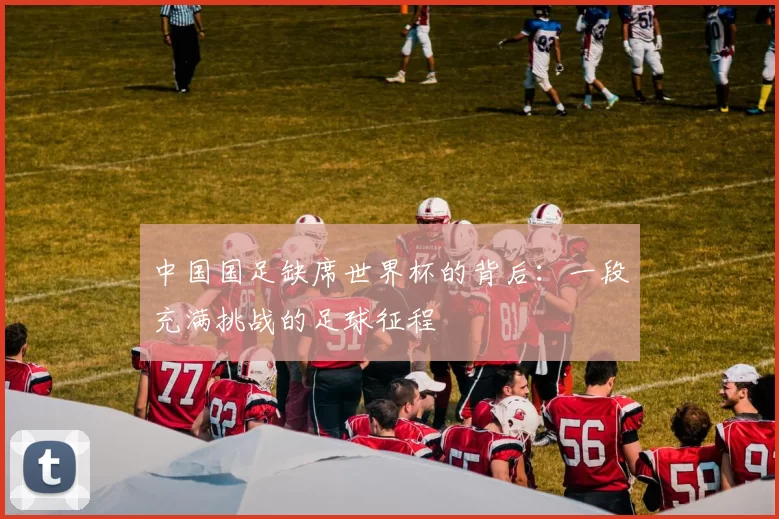 中国国足缺席世界杯的背后:一段充满挑战的足球征程