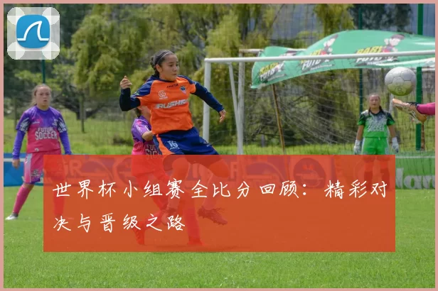 世界杯小组赛全比分回顾:精彩对决与晋级之路