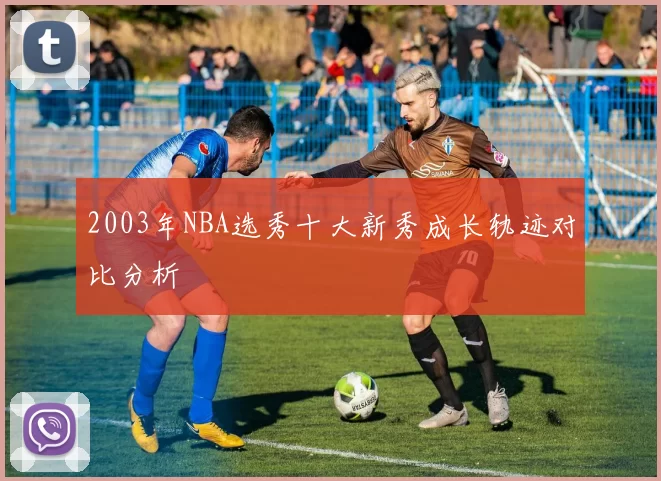 2003年NBA选秀十大新秀成长轨迹对比分析