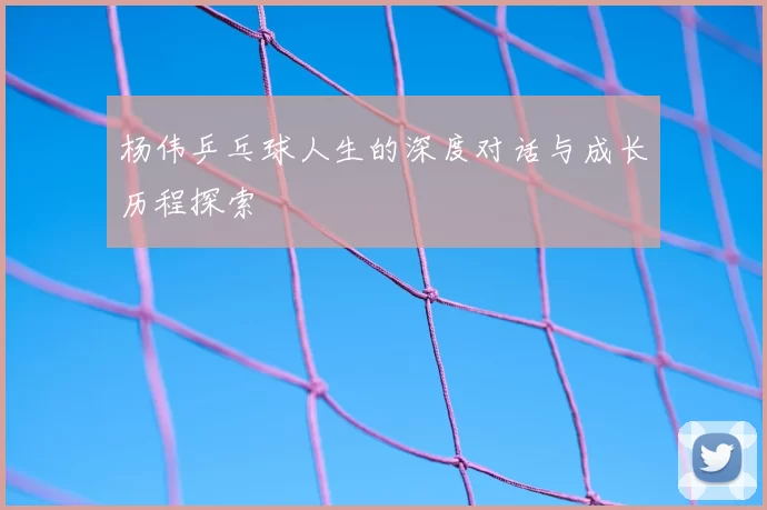 杨伟乒乓球人生的深度对话与成长历程探索