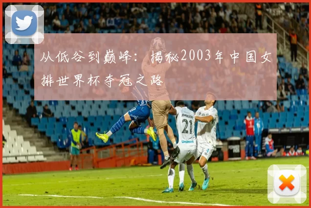 从低谷到巅峰:揭秘2003年中国女排世界杯夺冠之路