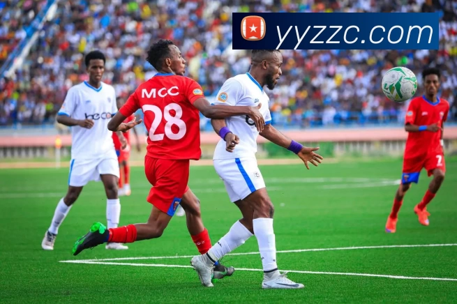 kaiyun平台生态图